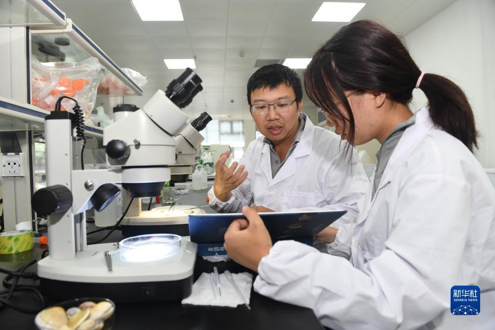 白菜申请可以送38彩金